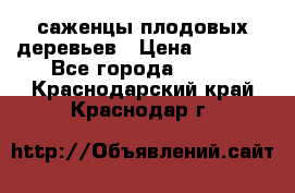 саженцы плодовых деревьев › Цена ­ 6 080 - Все города  »    . Краснодарский край,Краснодар г.